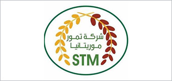 stm